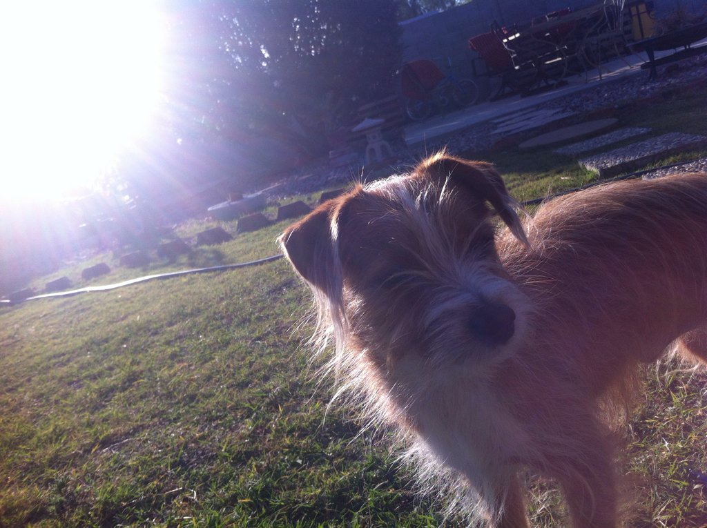 reisyren's tweet photo. My best friend
I will miss you so much, Sammy
I love you https://t.co/kuciZlbkMQ