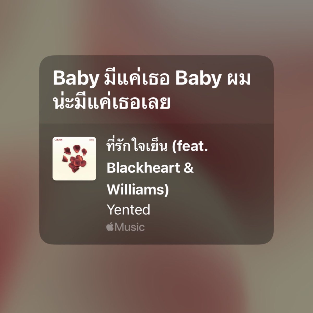 ป้อกกาแลต tweet media