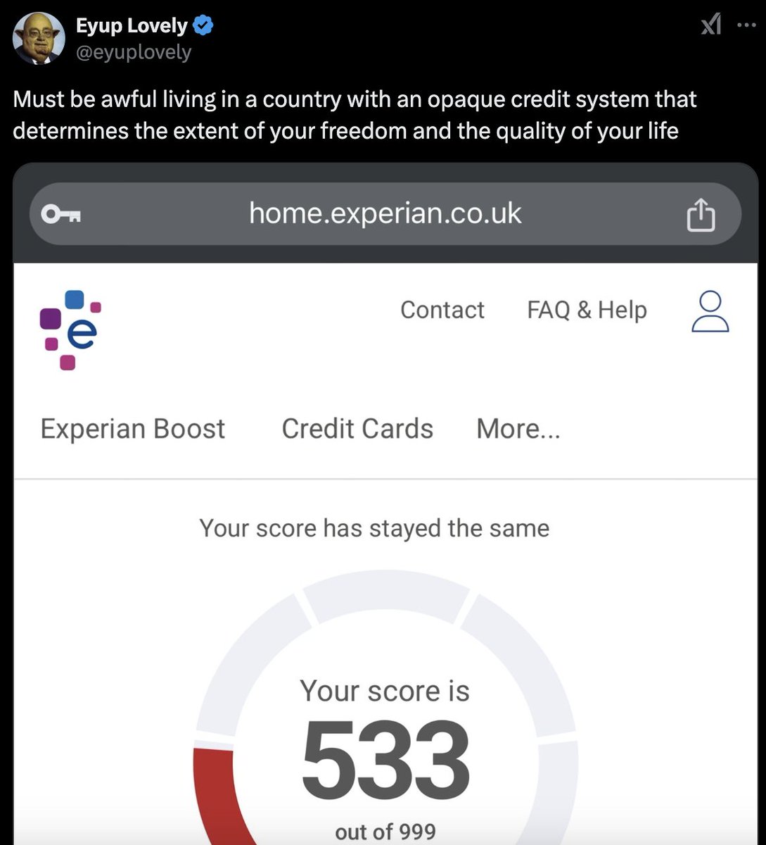 Bondi Buddy tweet media