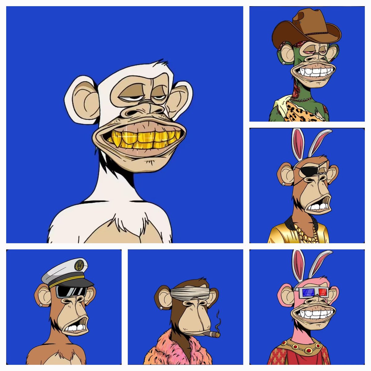 WildTedHunter's tweet photo. @mikeytodo @BadTedYC @akidcalledbeast @MarsCatsVoyage @apechainapes https://t.co/qiSEn46Yez
