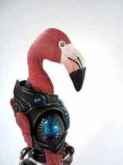 Adam Pawlus tweet media