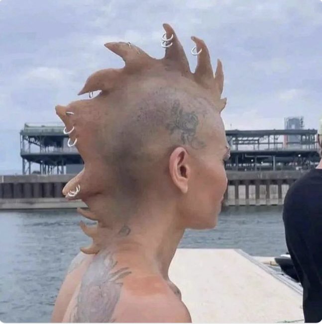 I’m not witty enough to come up with one of those really great tweets, so here’s a pic of Sonic in real life instead 👀

<a href="/zentry/">Zentry</a> <a href="/Ronin_Network/">Ronin</a> $ZENT $RON #Zentry #Ronin