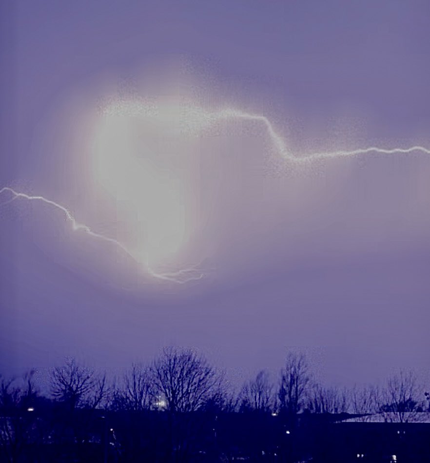 Lisa Singleton tweet media