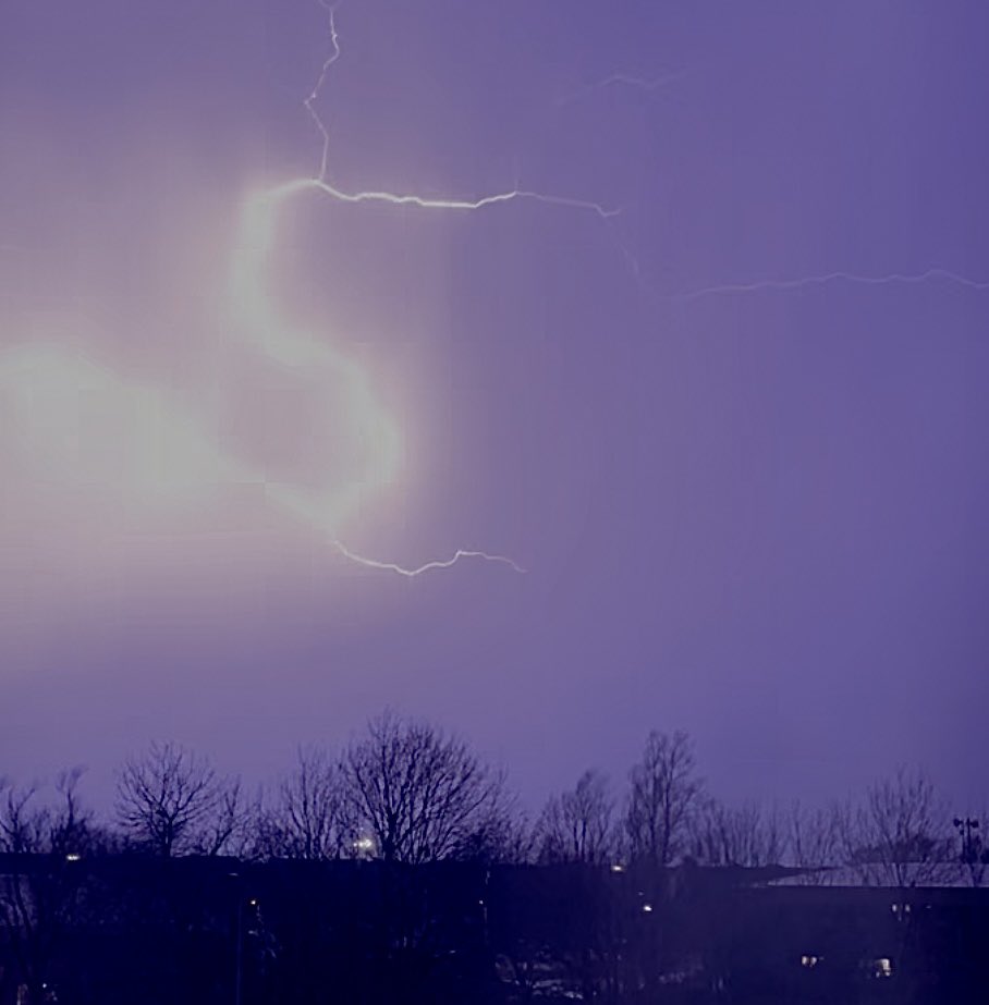 Lisa Singleton tweet media