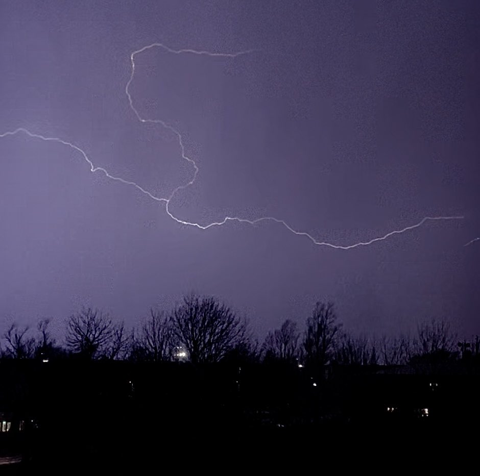 Lisa Singleton tweet media