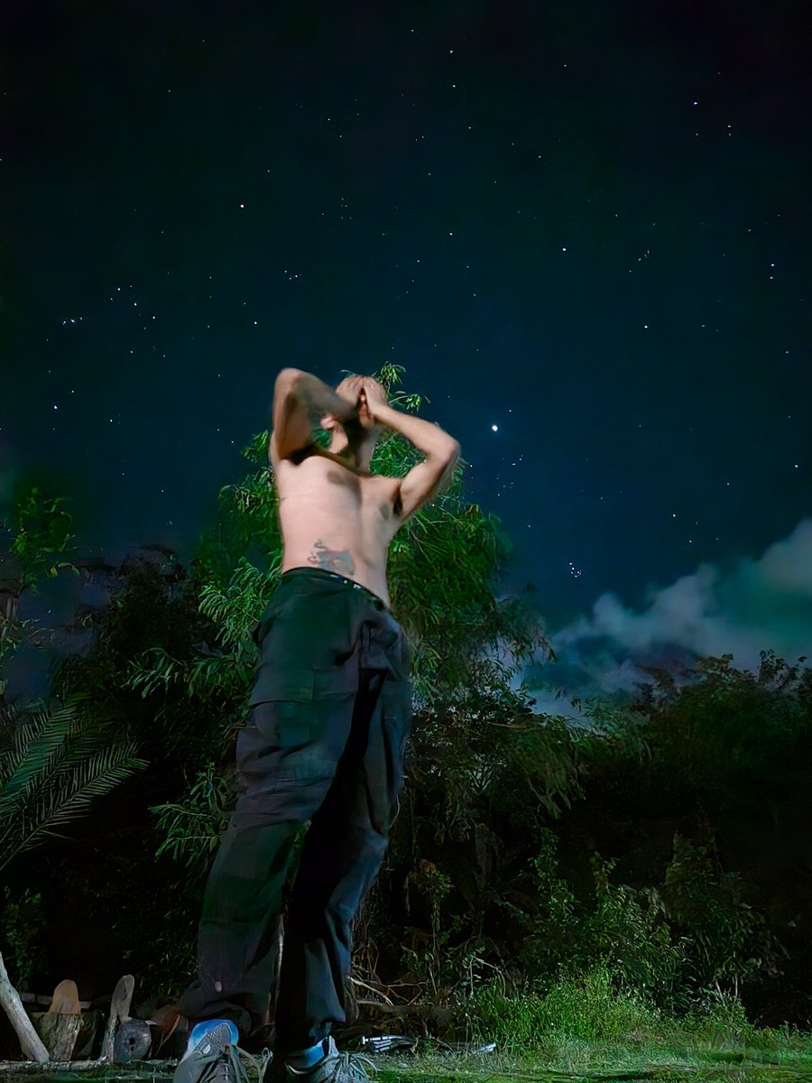 Vivir en medio de la selva del caribe Mexicano se ve así 🌴
