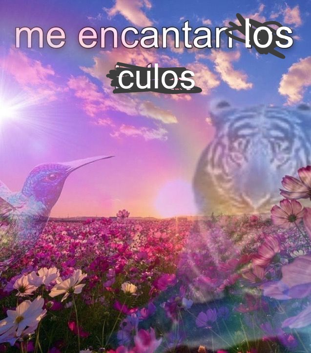 huesopolla69 tweet media