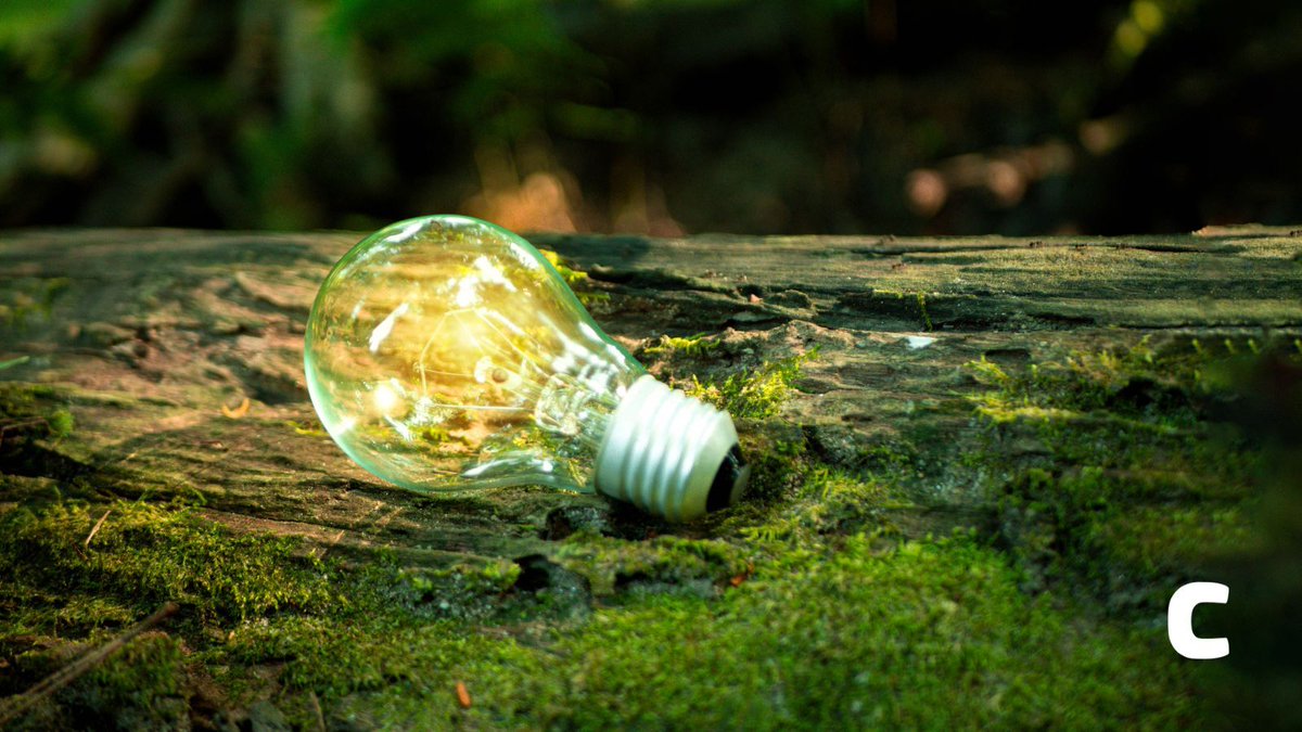 Nachhaltige IT – Engagement oder Greenwashing? 🌱💻 
Viele IT-Anbieter werben mit „grünen“ Lösungen, aber wie umweltfreundlich sind Cloud-Dienste &amp; Rechenzentren wirklich? Mehr Transparenz, weniger leere Versprechen! 🌍💡 
#greenIT #nachhaltigkeit #umweltschutz #digitalisierung