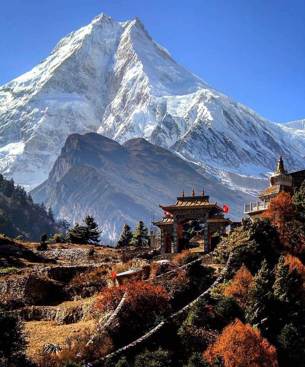 AmaAdventure1's tweet photo. Experience the Majestic Manaslu Circuit

Embark on an unforgettable journey through Nepal's stunning landscapes and remote villages. Led by our expert female guides, this trek will empower you to push your limits and discover true adventure.

Join us on the #manaslucircuit https://t.co/lfleoCXXsd
