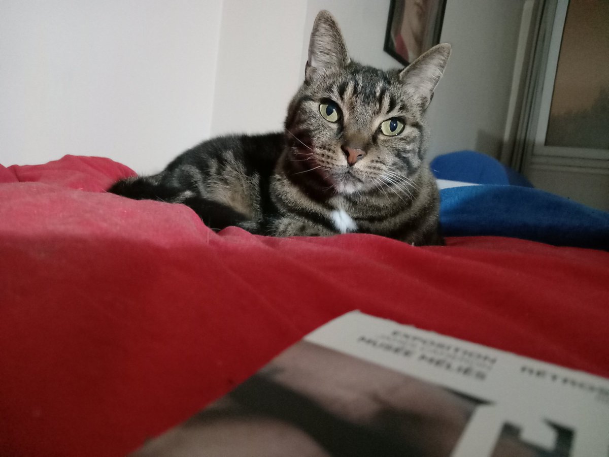 Franco57124579's tweet image. 🖤Valentina 💜Taki des lève-tôt passé et présent #GazaGénocide #NetanyahuAssassin