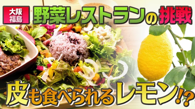bplatzpress's tweet photo. 旨味食堂 ベジ吉の挑戦—【大阪・福島】発、野菜愛が詰まった香川仕入れの旅に密着！【ベジ吉】ニンベンオモチカラ#2 https://t.co/Qz3ddF4HRJ 
#bplatz #ニンベンオモチカラ　#ニンベンオモチカラエピソードZERO https://t.co/oHp8mTqoD8