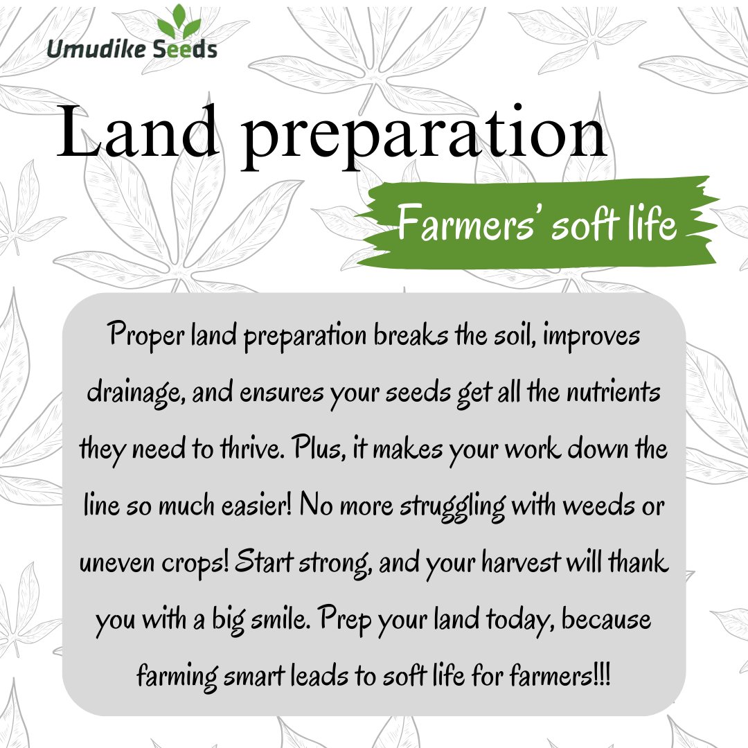 The first and most important step in farming is land preparation. This stage accounts for a great percentage on the out come of your farming. 

Do not hesitate to start early, especially in this dry season. It makes the entire process  easier.