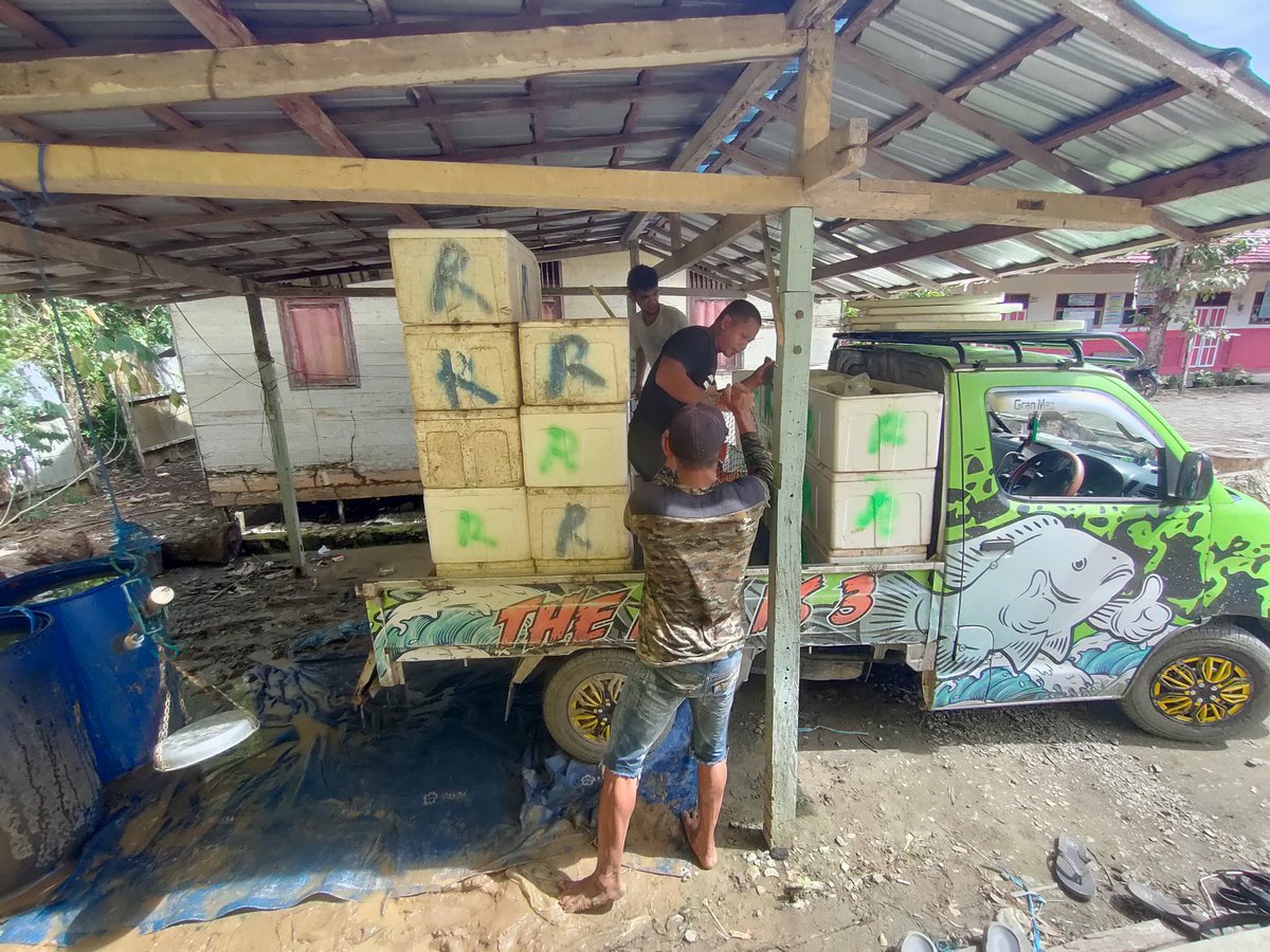 Ismail ogie tweet media