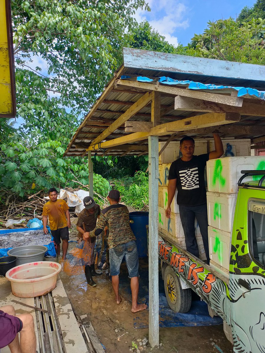 Ismail ogie tweet media