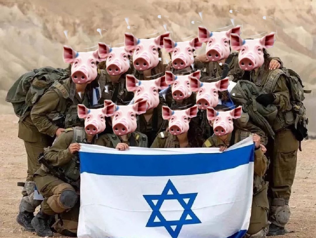 Ibrahim232019's tweet image. L'armée israélienne a ouvert le feu, sur des civils innocents libanais qui tentaient de revenir dans leurs villages par centaines, faisant 15 morts et 83 blessés.

NB : ISRAËL a le droit de se défendre, j'ai oublié ISRAËL a le droit de commettre un Génocide en toute impunité