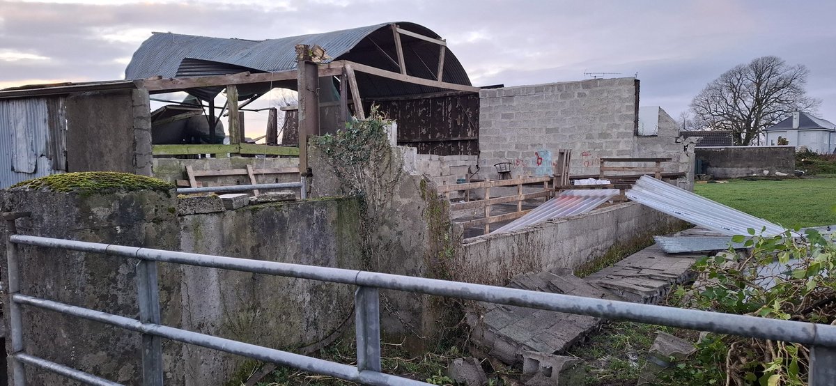 Survivor mode day 4 no electricity or water. The novelty has worn off.