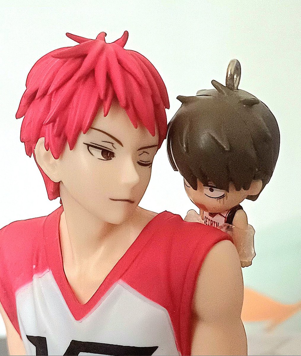 *What's this? 
It looks like Nigou has brought something! *

*Akashi seems pleased with the gift! *
✨✨🤭🤭
.
.
#적강 #AkaFuri #赤降  #chibi #figure #FurihataKouki #AkashiSeijuro #knb #kurokonobasket