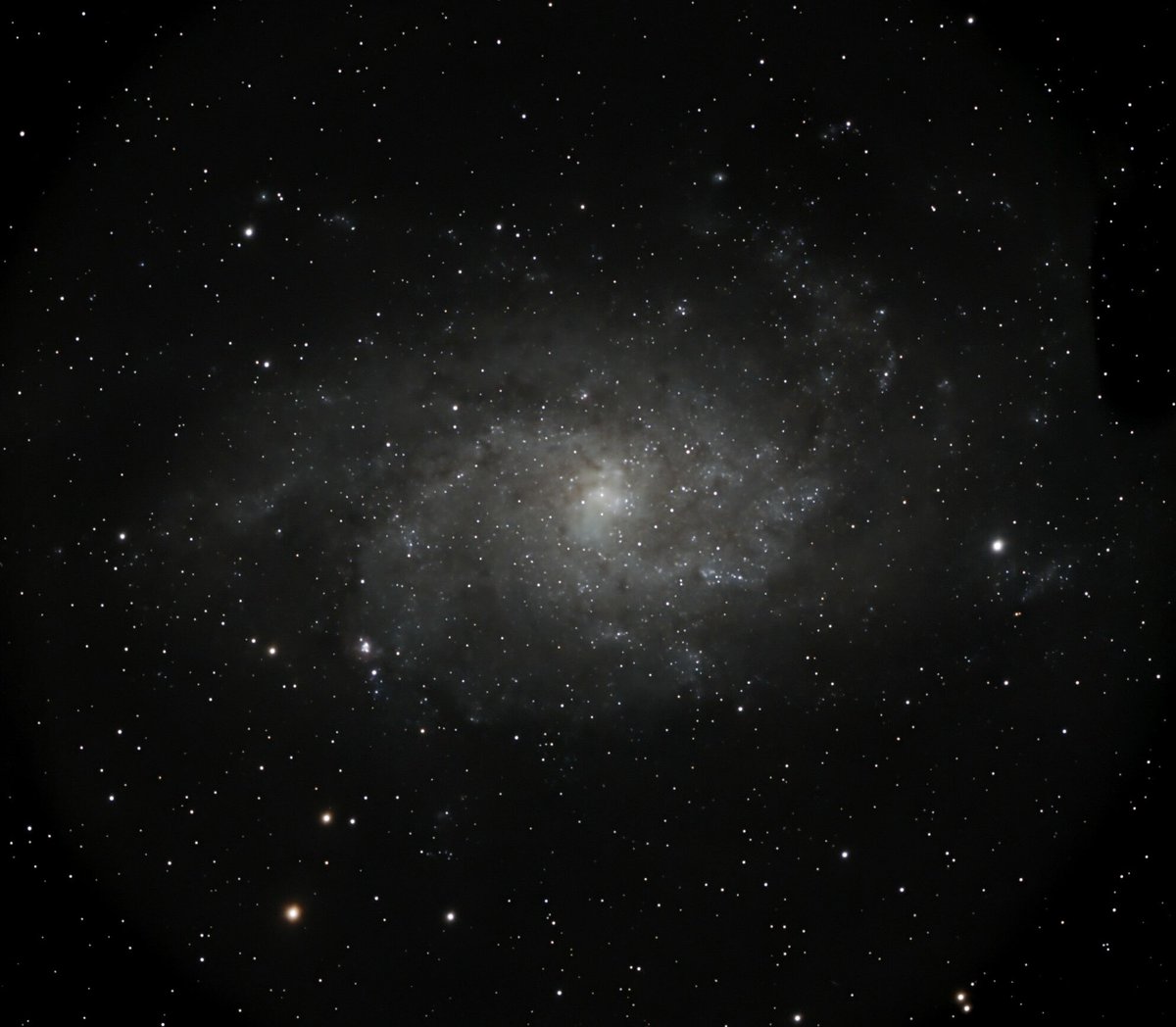 Michael Merrifield tweet media