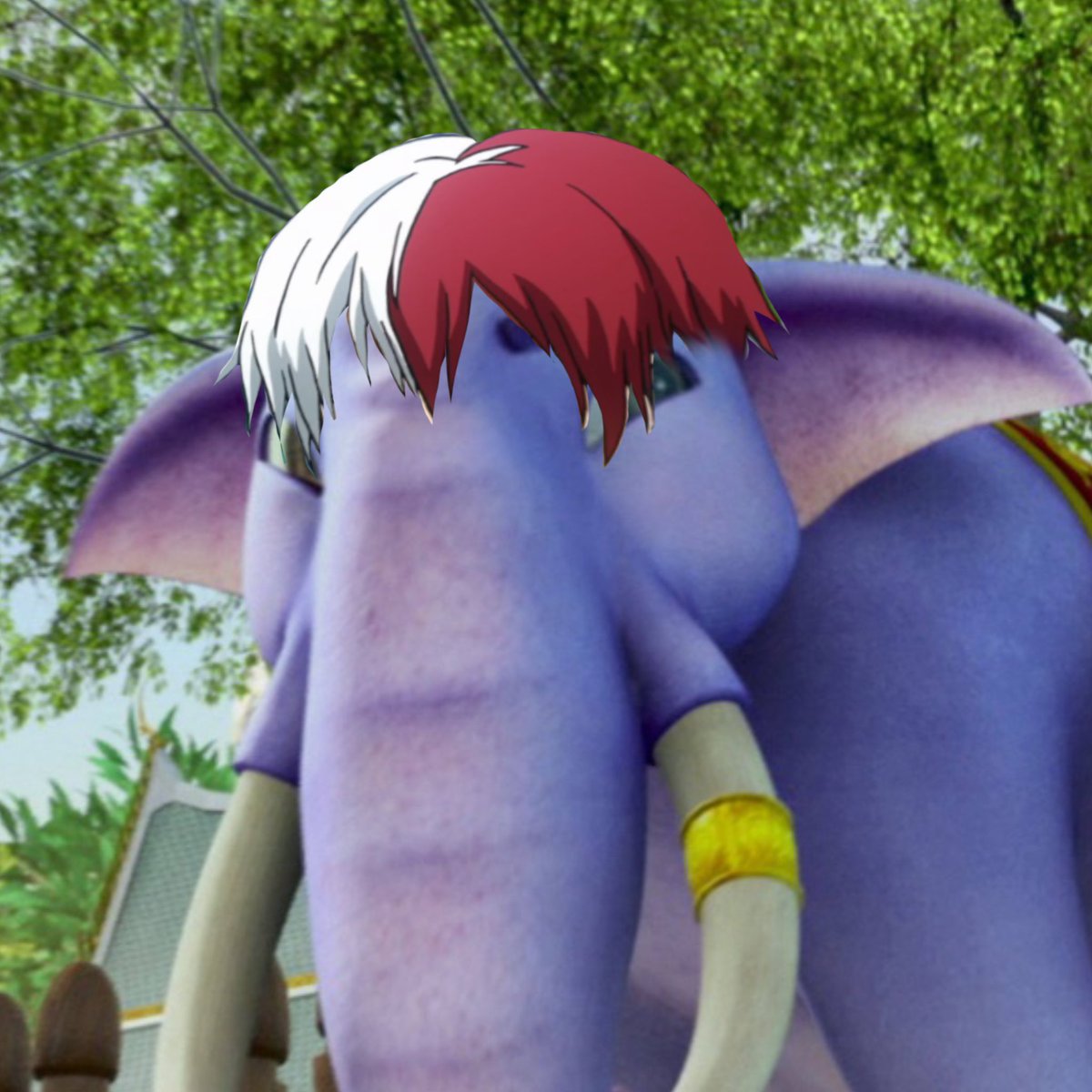 ソーム tweet media