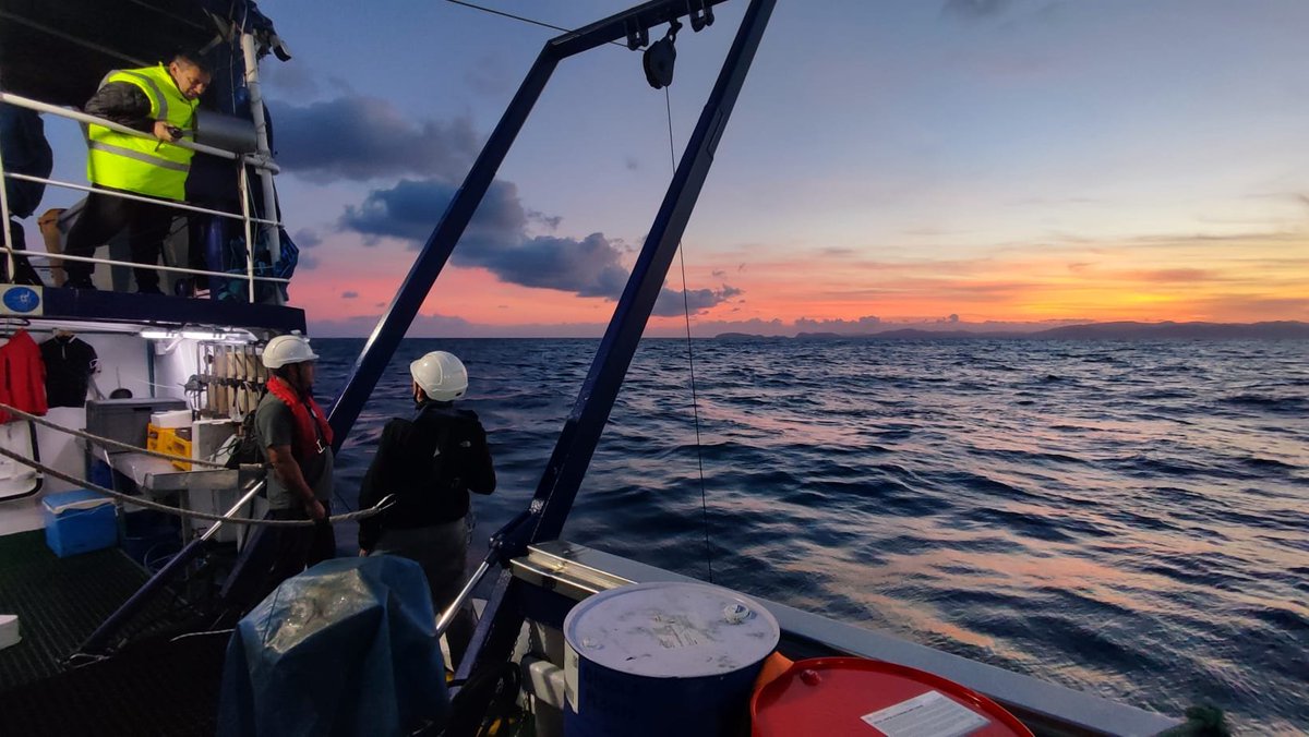 Instituto Español de Oceanografía (IEO-CSIC) tweet media