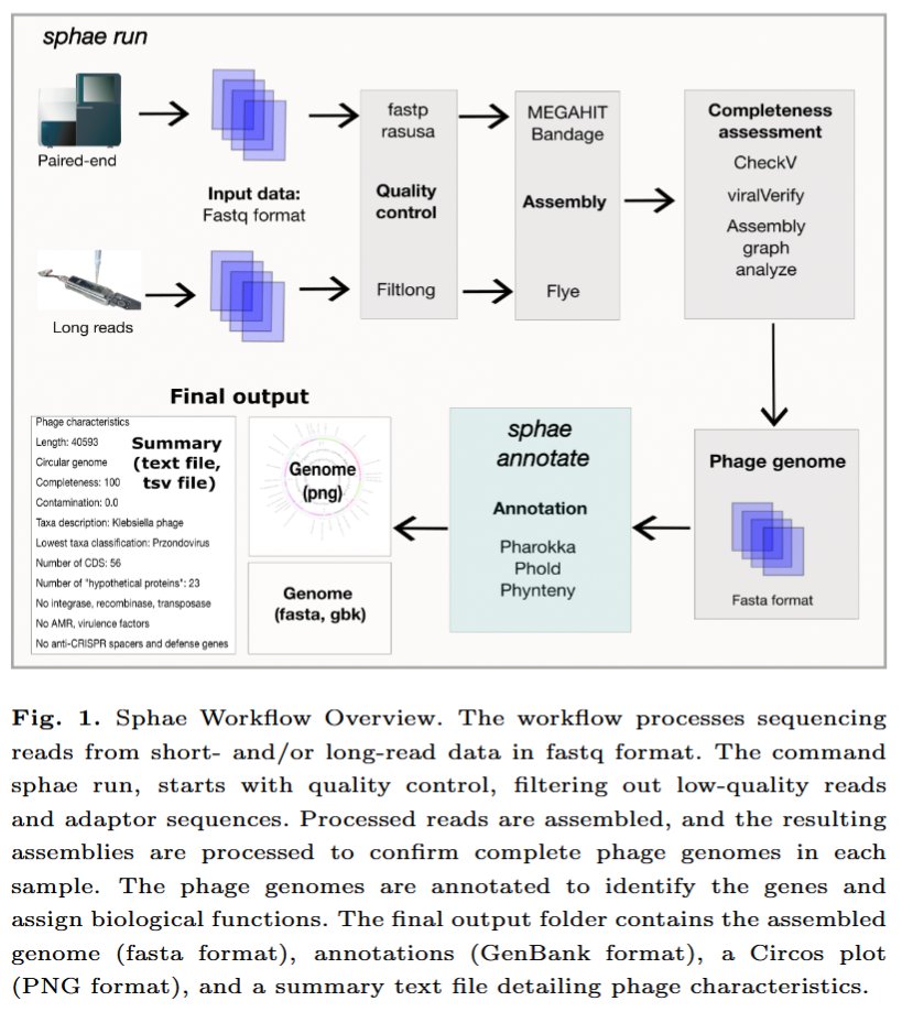 🦠 "Sphae: An automated toolkit for predicting phage therapy candidates from sequencing data" introduces a streamlined bioinformatics workflow to evaluate #phages for therapeutic potential in under 10 minutes: doi.org/10.1093/bioadv…

#PhageTherapy #AntimicrobialResistance