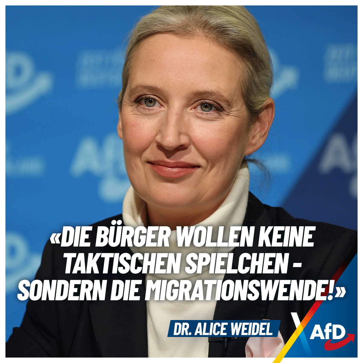 Alice Weidel tweet media