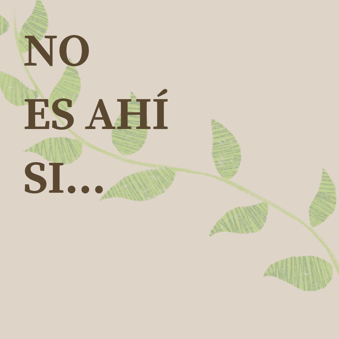 The Circular Project tweet media