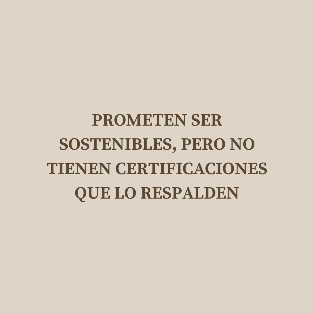 The Circular Project tweet media