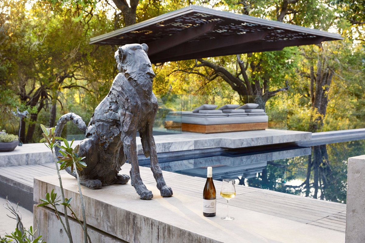 SunsetSafarisSA's tweet photo. Sabi Sand: Home of the exclusive-use luxury safari experience in SA’s most celebrated wildlife area, the Sabi Sand, Cheetah Plains is the epitome of a sophisticated, innovative eco-luxury safari experience for the modern age. Quotes: https://t.co/pHgdGDa8lc Photos: Cheetah Plains https://t.co/haJ1klsBoS