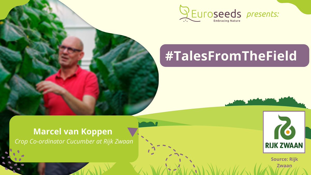 🥒 🔦 Marcel van Koppen, Crop Coordinator at <a href="/RijkZwaan/">Rijk Zwaan</a> highlights the benefits for growers of their LED cucumber high-yield innovation with controlled lighting.

#GrowingTheFuture #plantbreeding #foodsecurity #planthealth