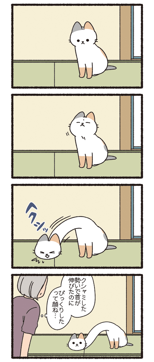 ねこようかい ろくろくび(2/3) 