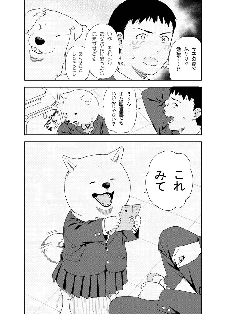 (2/2) 