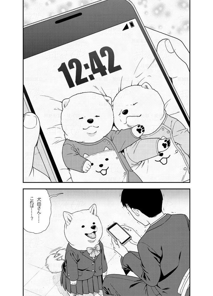 (2/2) 