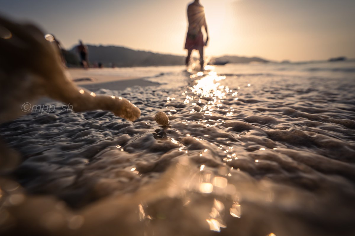 mpp_sh's tweet photo. 黄昏に染まる躍動
📍Pathong Beach, Phuket
#sigma1424mmart
#thailamd https://t.co/BTHmZ1xCFC
