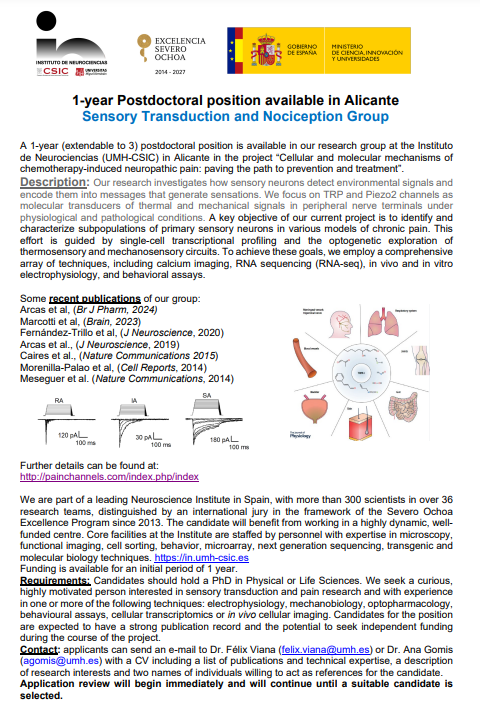 Instituto de Neurociencias UMH-CSIC (@neuroalc) on Twitter photo The Sensory Transduction and Nociception Group <a href="/painchannels/">PainChannels</a> at <a href="/NeuroAlc/">Instituto de Neurociencias UMH-CSIC</a> offers a 1-year (extendable to 3) postdoctoral position.
The call is open until position is filled.
More info 👇
in.umh-csic.es/en/ofertas/1-y… The Sensory Transduction and Nociception Group <a href="/painchannels/">PainChannels</a> at <a href="/NeuroAlc/">Instituto de Neurociencias UMH-CSIC</a> offers a 1-year (extendable to 3) postdoctoral position.
The call is open until position is filled.
More info 👇
in.umh-csic.es/en/ofertas/1-y…