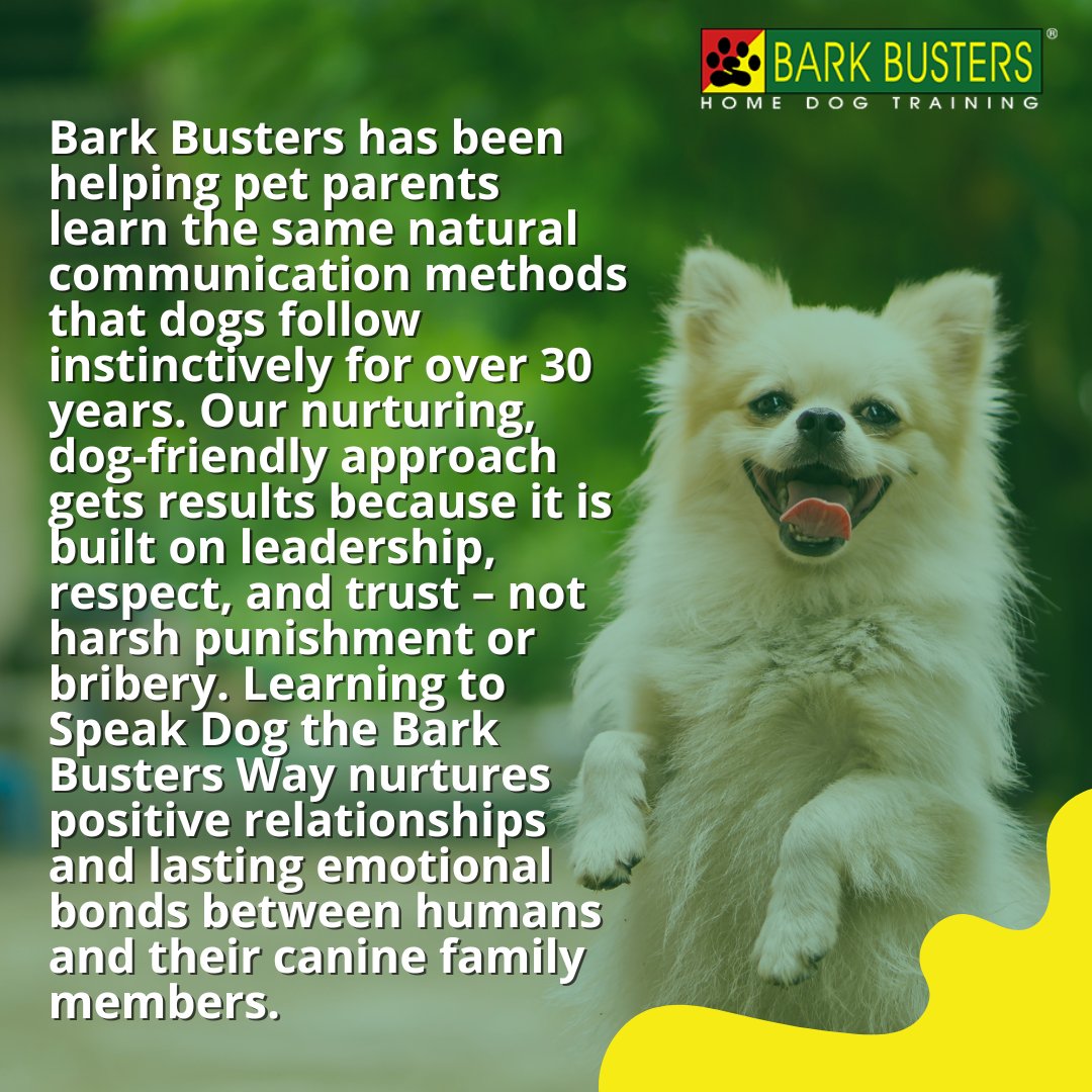 BarkBustersVC's tweet photo. 🐕‍🦺 Ready to turn chaos into calm? 🌟 Bark Busters Ventura County offers personalized in-home training for barking, jumping, leash pulling, and more. 🏡✨ Let’s make life with your pup stress-free and joyful! 🎉
🔗 https://t.co/xplKHL0kBe

#BarkBusters #VenturaCounty #HappyDogs https://t.co/vOhk0BEVdq