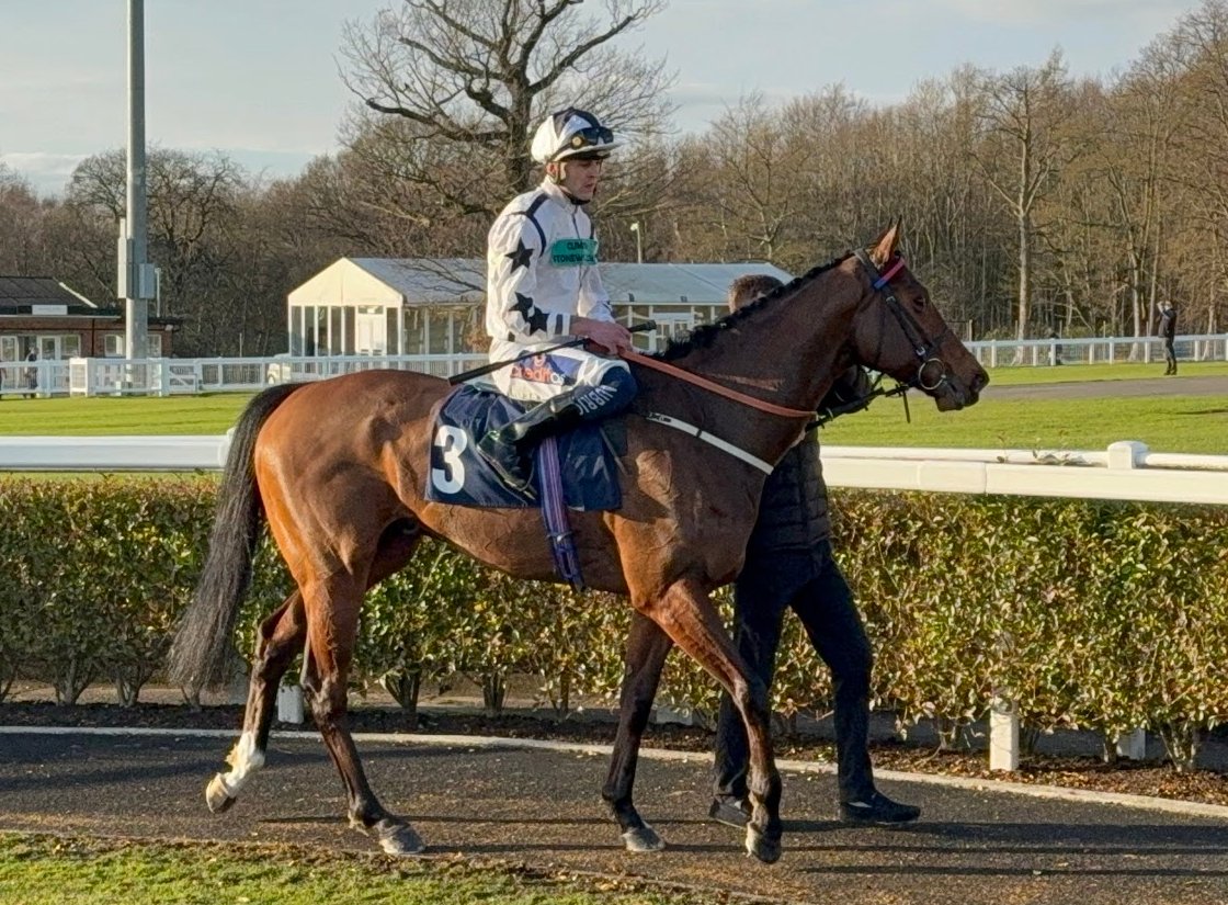 Next Sunday is the renewal of the 6f Listed Kachy Stakes at <a href="/LingfieldPark/">Lingfield Park</a> ( <a href="/jdavelowe/">Dave Lowe</a> 🏇🌪️) 
#Marshman is entered to run &amp; this will be his 2nd qualifying race ahead of the AW Finals day in April at <a href="/NewcastleRaces/">Newcastle Racecourse</a>