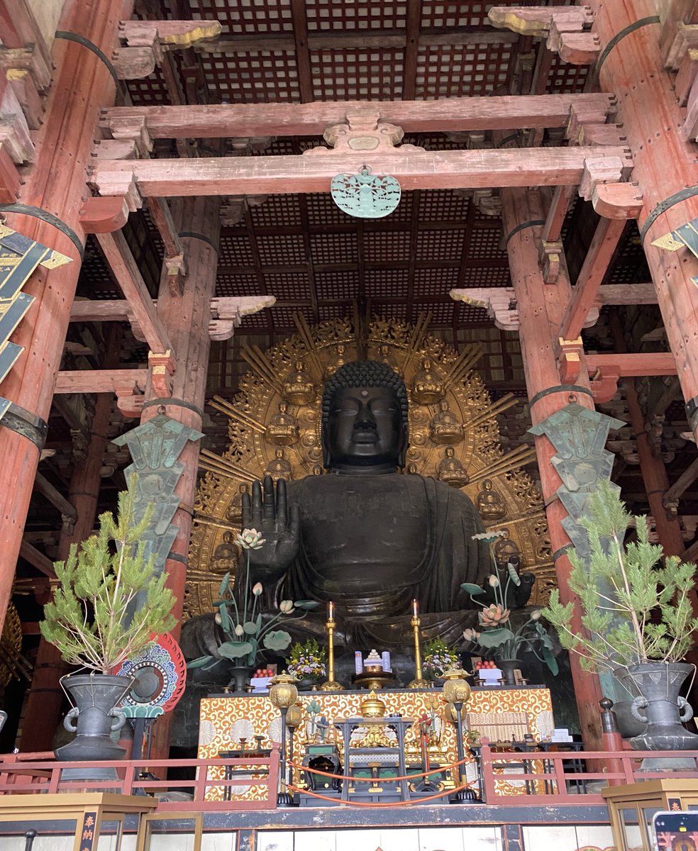 奈良公園と東大寺のでっかい大仏にも行った！鹿さんおとなしくて可愛かったな