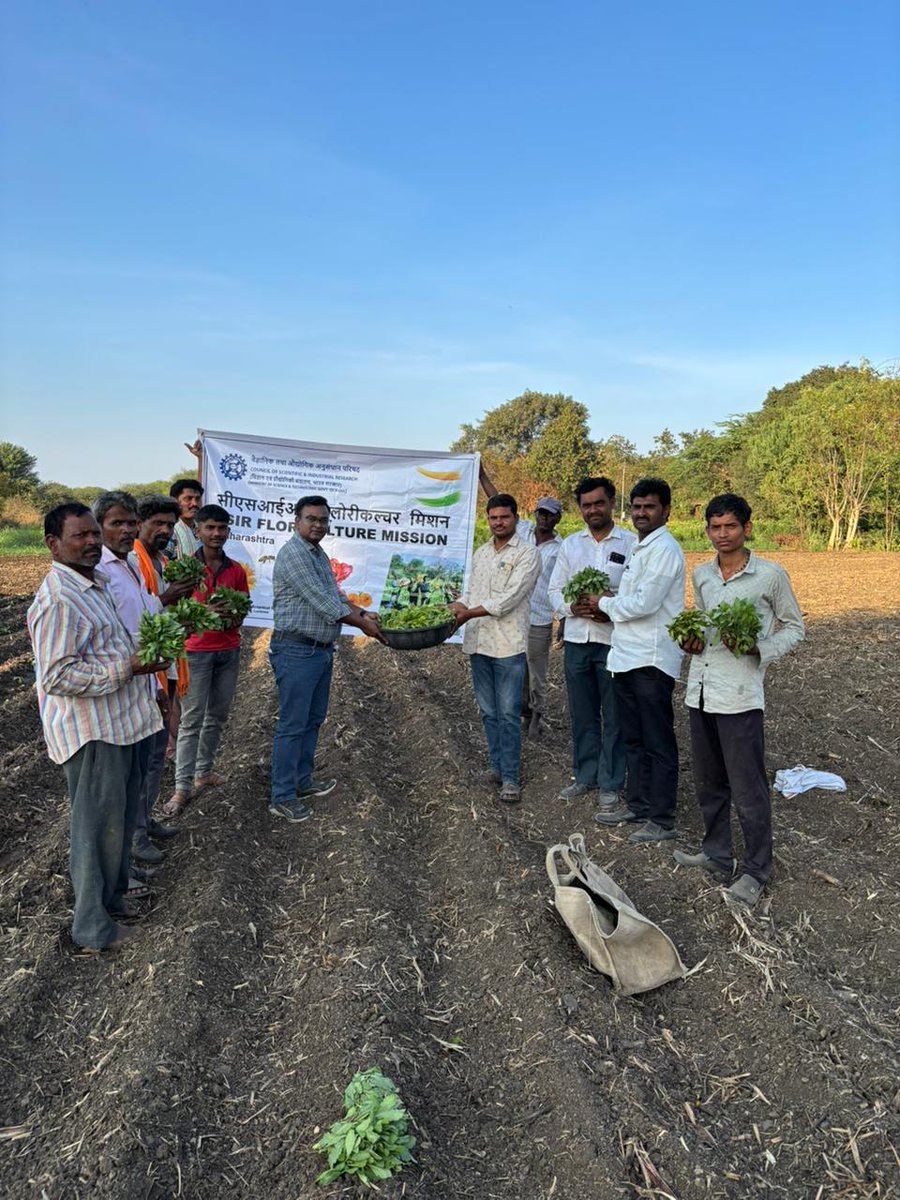 CSIR Floriculture Mission (@csirflori) on Twitter photo Under CSIR-Floriculture Mission, team CSIR-NBRI on 25.01.2025 distributed 100000 Gaillardia QPM to 20 farmers of Ankoli and Murud Akola clusters District: Latur Maharashtra followed by plantation in the field.
<a href="/akshasany/">Jagarnath Jai</a> Under CSIR-Floriculture Mission, team CSIR-NBRI on 25.01.2025 distributed 100000 Gaillardia QPM to 20 farmers of Ankoli and Murud Akola clusters District: Latur Maharashtra followed by plantation in the field.
<a href="/akshasany/">Jagarnath Jai</a>