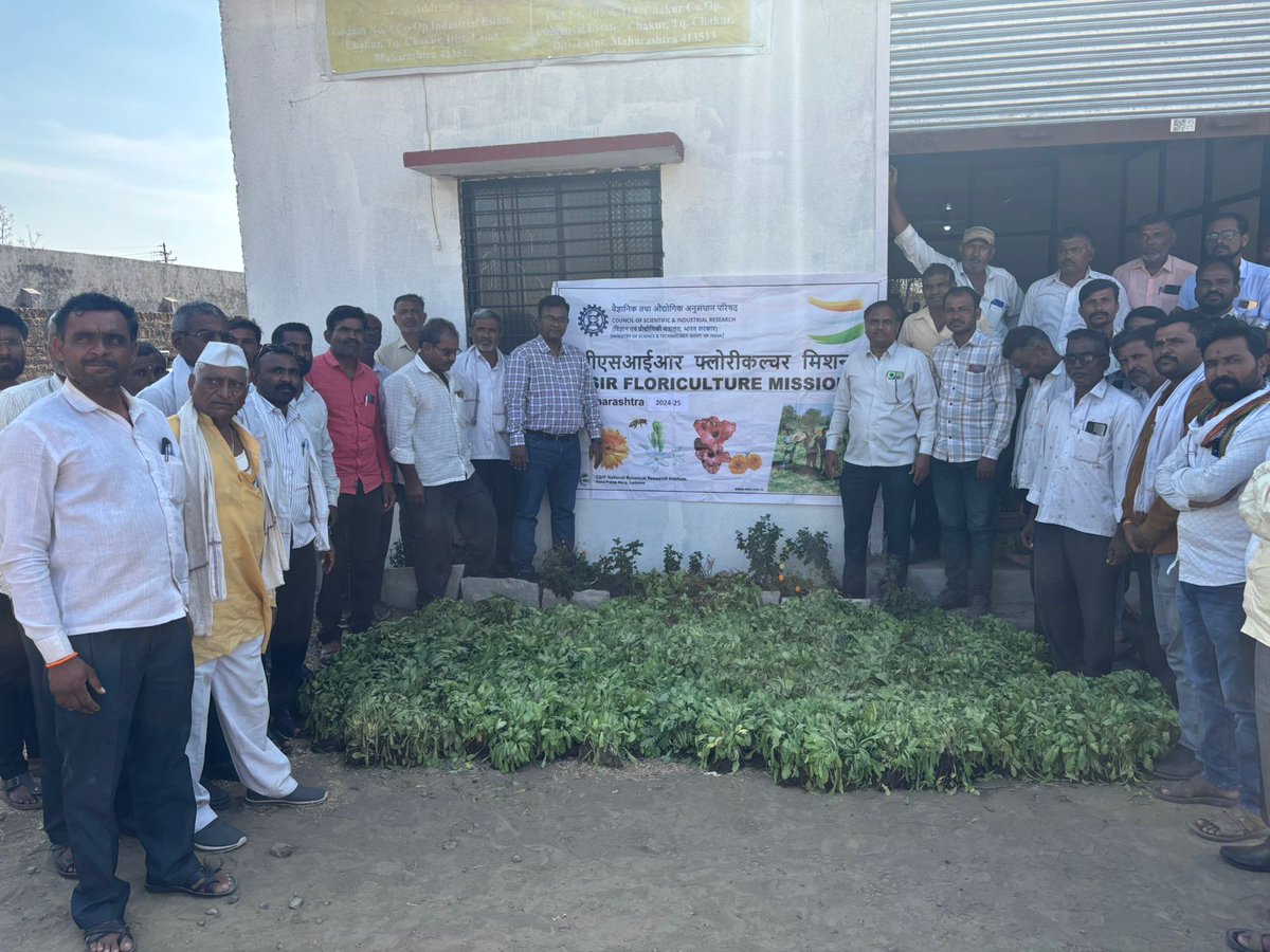 CSIR Floriculture Mission (@csirflori) on Twitter photo Under <a href="/CsirFlori/">CSIR Floriculture Mission</a> teamNBRI on 24.01.2025 organised a training cum awareness program at Chakur District Latur, Maha. to the newly form clusters (Pakahrsangavi, Murud Akola & Devongra), 65 farmers participated in the program. 150k Gaillardia QPM were distributed <a href="/akshasany/">Jagarnath Jai</a> Under <a href="/CsirFlori/">CSIR Floriculture Mission</a> teamNBRI on 24.01.2025 organised a training cum awareness program at Chakur District Latur, Maha. to the newly form clusters (Pakahrsangavi, Murud Akola & Devongra), 65 farmers participated in the program. 150k Gaillardia QPM were distributed <a href="/akshasany/">Jagarnath Jai</a>