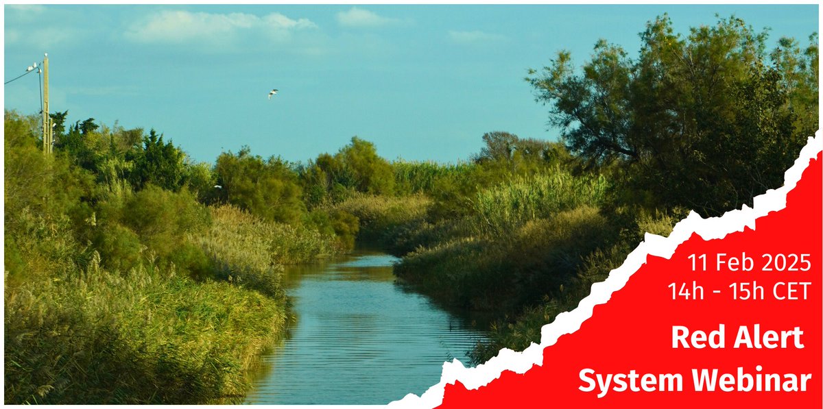 🚨 Join us for the webinar: The Red Alert System of MAW

📅 11 Feb 2025
⏰ 2-3 PM CET
Free registration 👉 tinyurl.com/28wjehuv

Discover how our Red Alert system is protecting wetlands across the Mediterranean as part of our #WorldWetlandsDay celebration!
#WetlandConservation