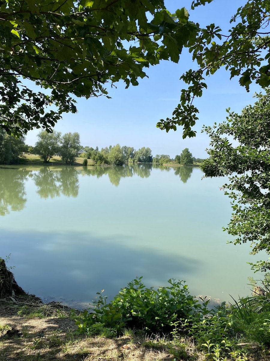 OTGrandChâtellerault tweet media