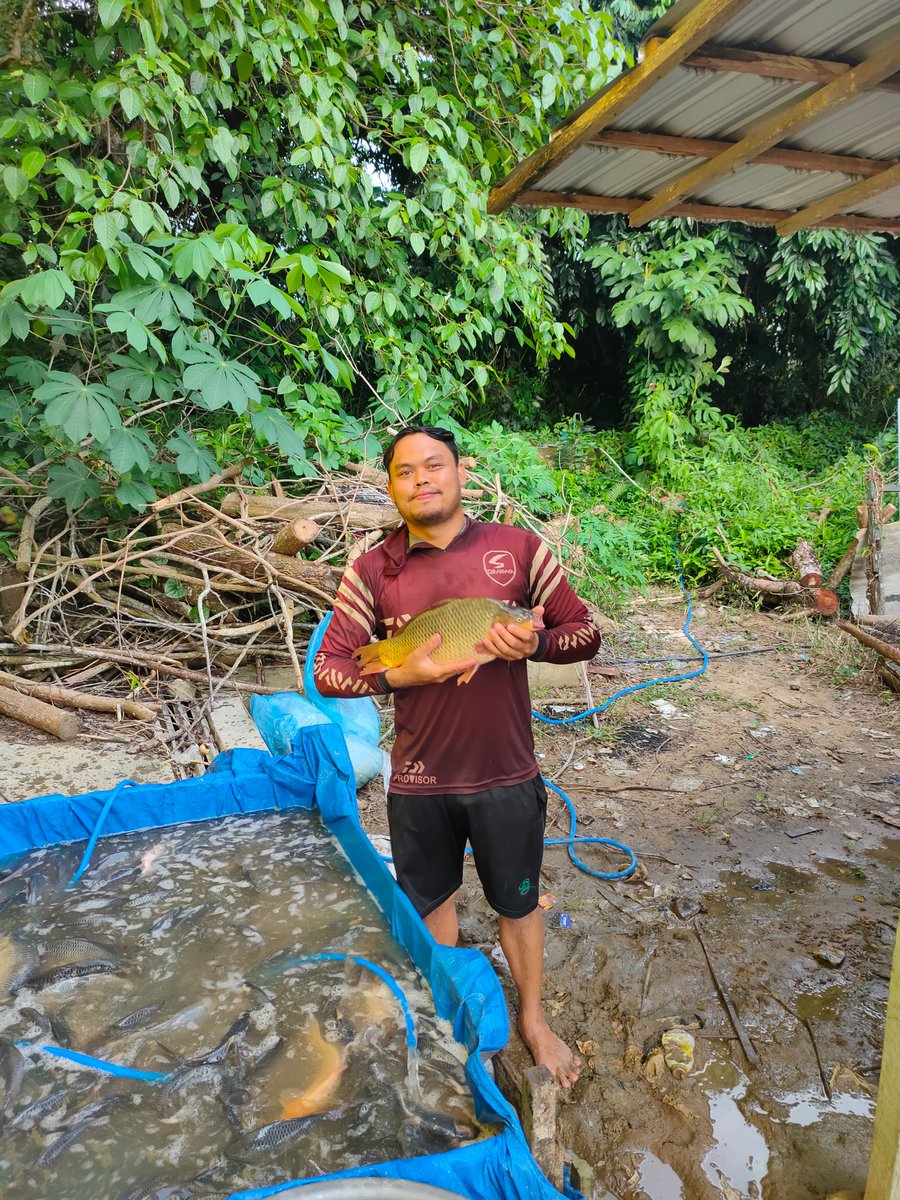 Ismail ogie tweet media