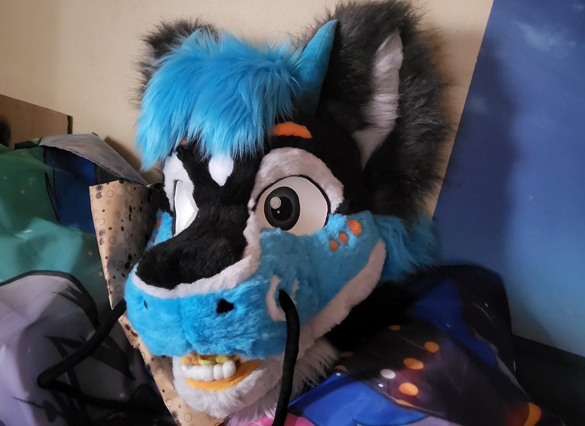 Nicoreda 🔜 Fauntastic tweet media