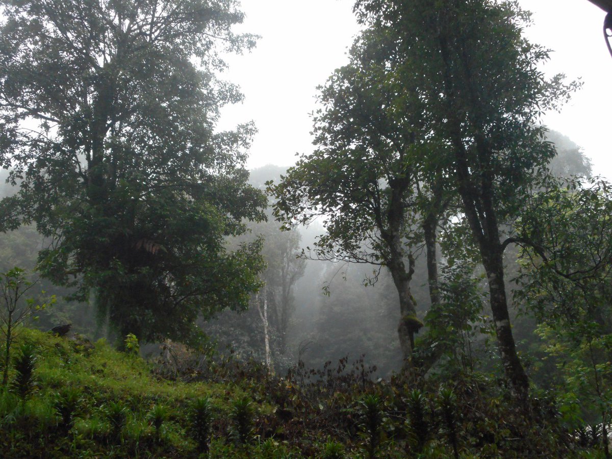 umamdante's tweet photo. Kabut putih
Kesunyian yang meledak

#nikon 
#nikoncoolpixs3700 https://t.co/35FS4CApsm