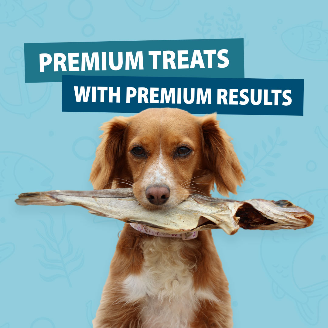 At Skipper's we only supply the best for your dog! 🐾 That's why all of our treats are 100% natural, sustainably sourced and contain no additives or preservatives!

#skipperspetproducts #naturaldogtreats #premiumdogtreats #sustainablysourced #ukmade #supportlocal