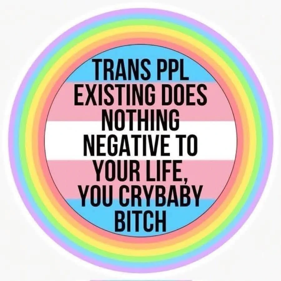 Text reads: "TRANS PPL EXISTING DOES NOTHING NEGATIVE TO YOUR LIFE, YOU CRYBABY BITCH" Background is the Trans flag bordered by a rainbow circle. 