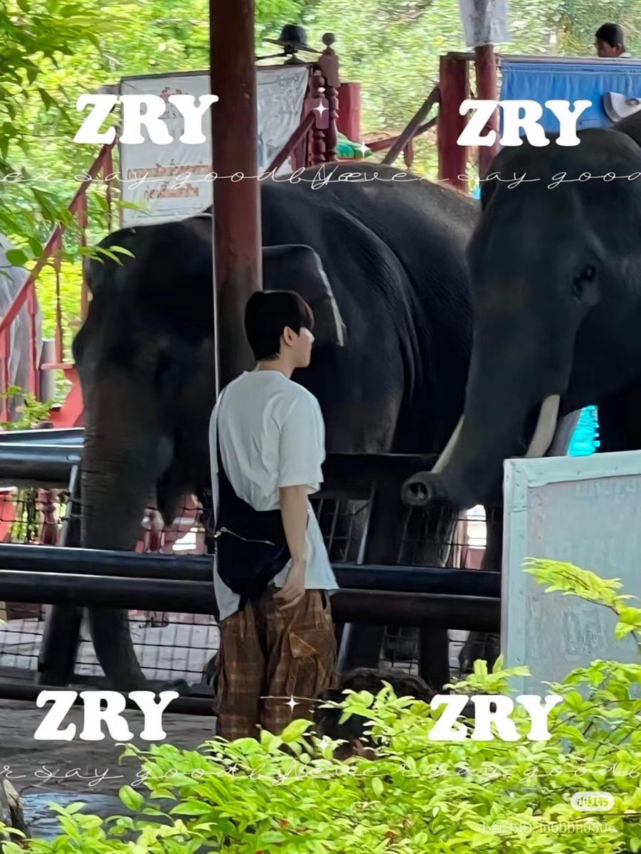 cutienongbaek's tweet image. ห๊า มีคนเจอน้องแบ้กไปดูช้างตอนมาทัวร์คอนที่ไทย ชีเริ่ดอะ 555555555