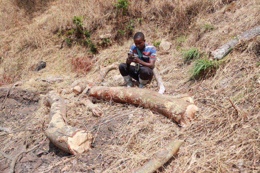 🌍 Join us in the fight against deforestation and protect our precious biodiversity! Every tree planted and every waste reduced makes a difference. 🌿❤️

We want to hear from you! Share your conservation efforts, whether it's tree planting, waste reduction, or wildlife