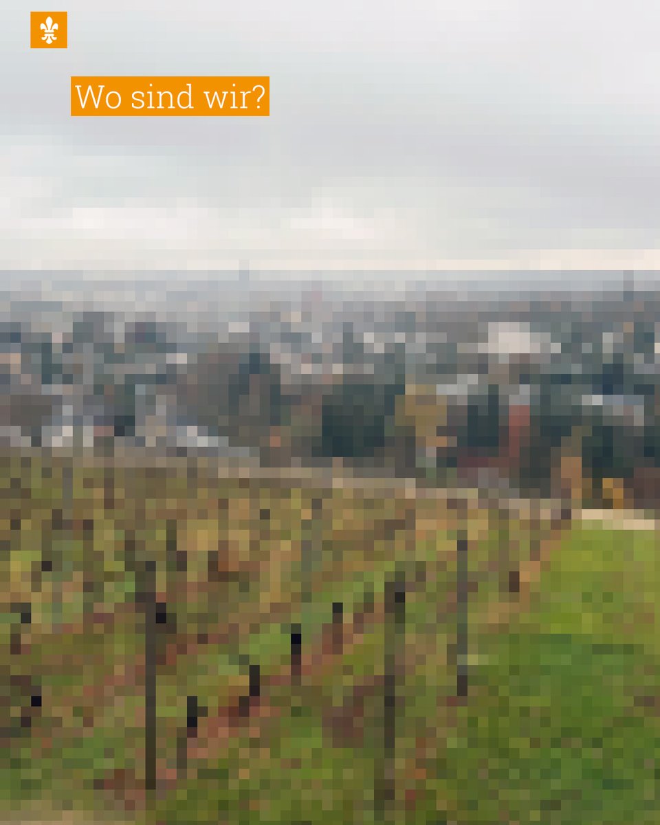 ☀️ Guten Morgen #Wiesbaden. Wir hoffen, ihr hattet ein schönes Wochenende. Wir starten mit unserem Rätsel  in die Woche: Wo sind wir in Wiesbaden?